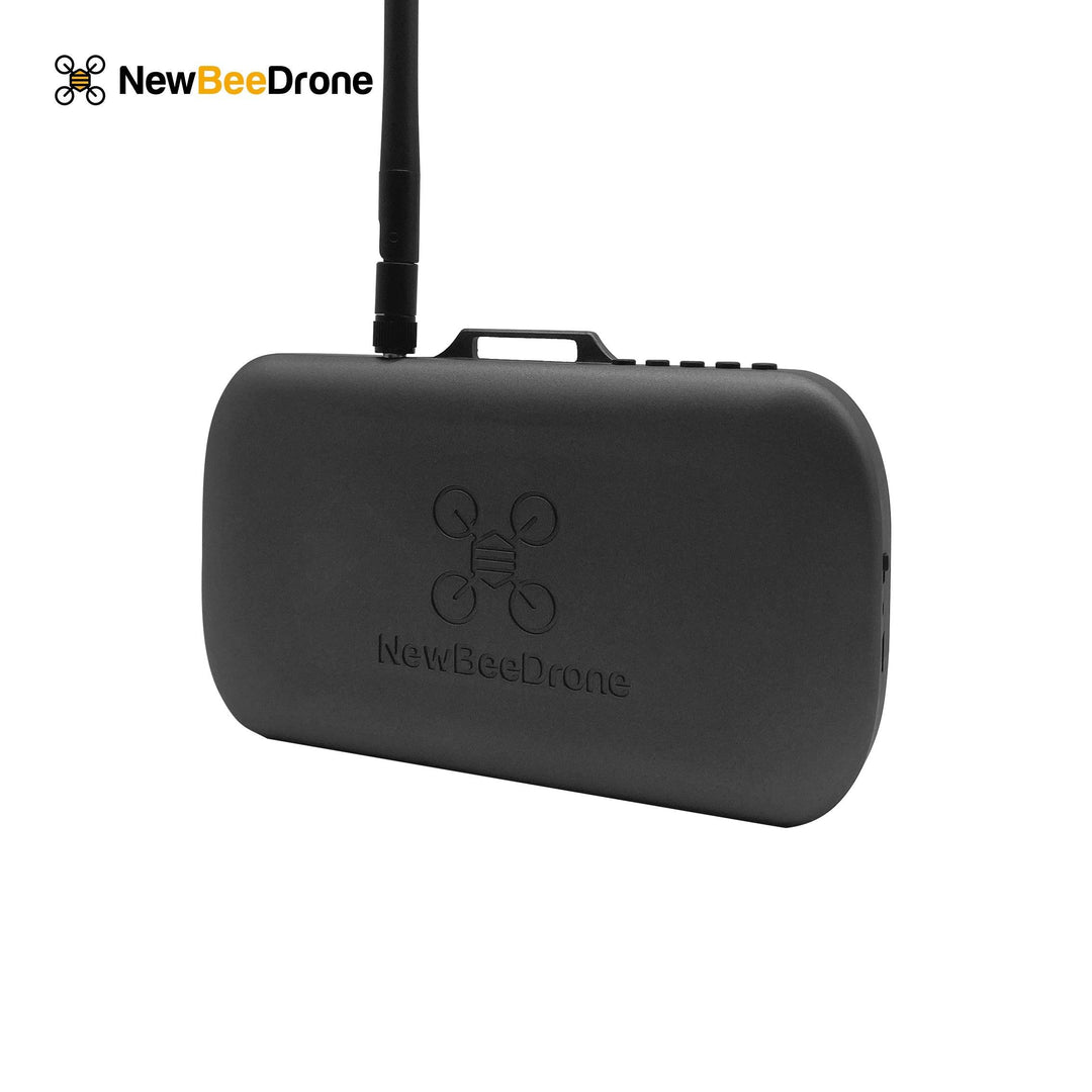 NewBeeDrone VRDrone RTF Monitor