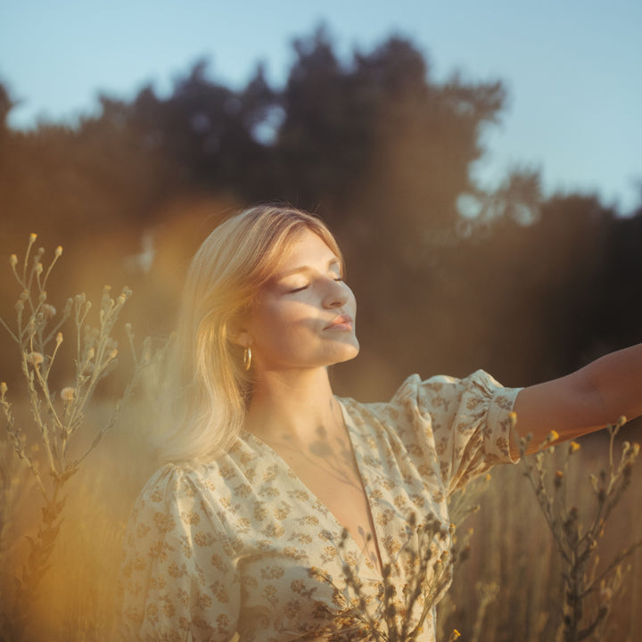 CineBloom Diffusion Filters