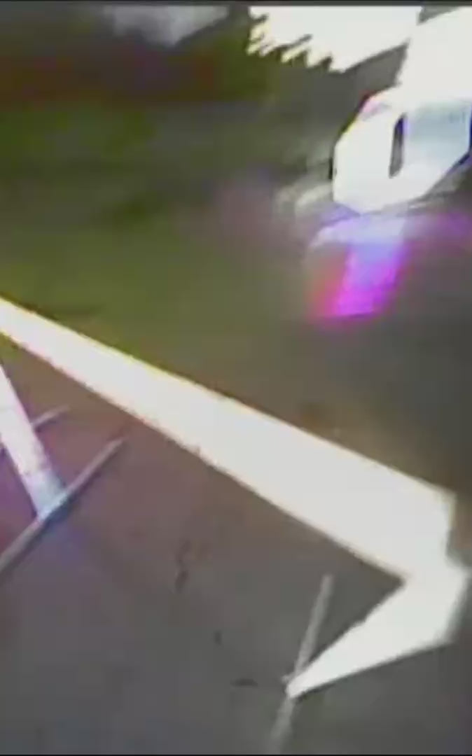 WREKD® GripEnds - TDog's Fangs - Choose Thread Size / Color